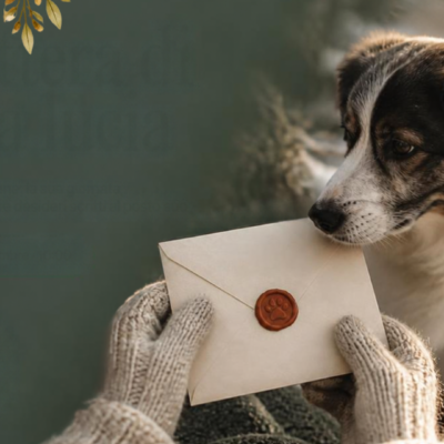 La lettera di Santa Lucia. Vita vera con un cane