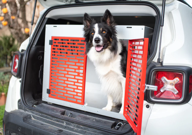 Kennel: un alleato per la sicurezza del tuo cane