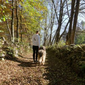 Passeggiata al Parco della Lessinia