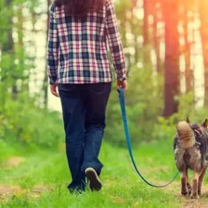 Passeggiata col cane in bosco
