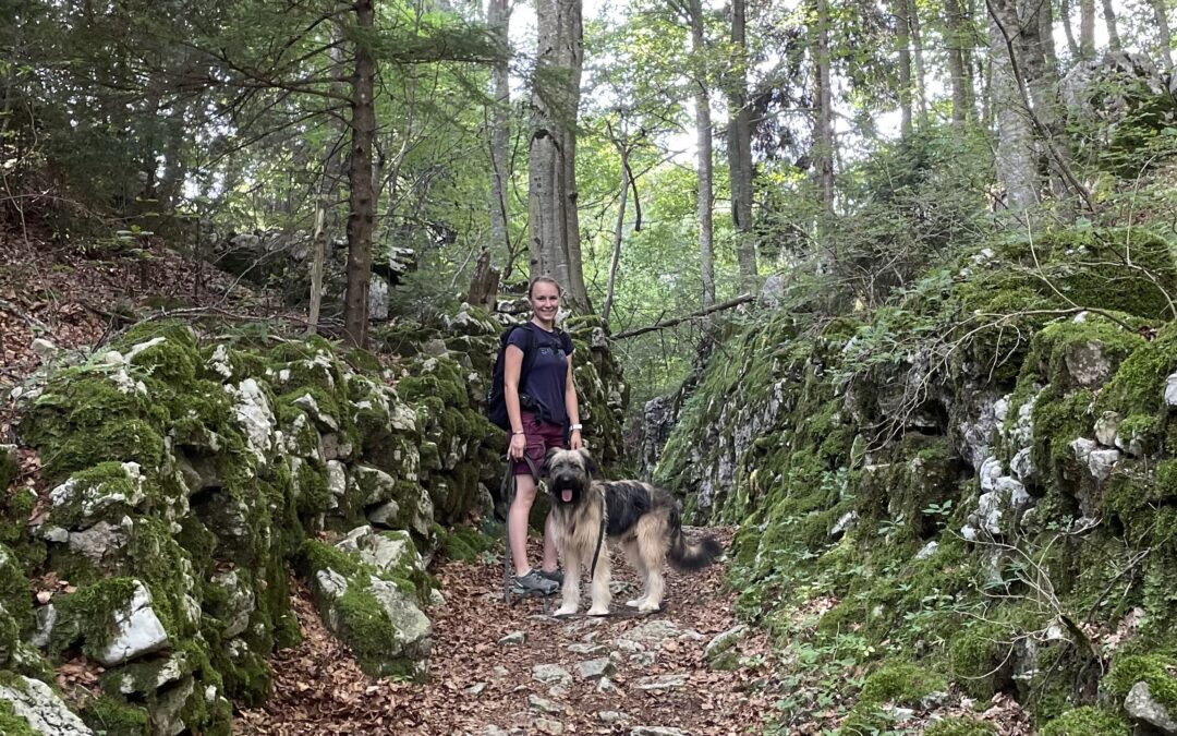 3 oggetti indispensabili da portare in montagna con il tuo cane