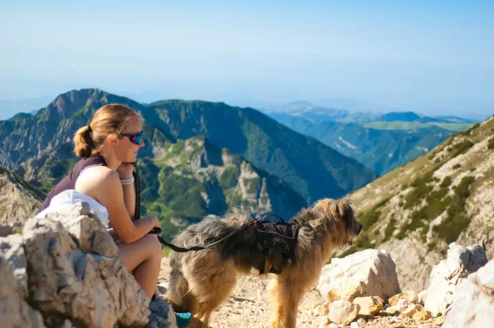 3 oggetti indispensabili da portare in montagna con il tuo cane