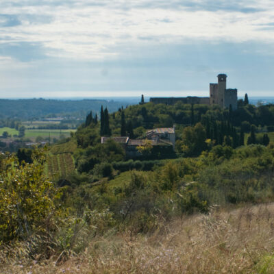 Passeggiata cinofila tra le fortezze delle colline veronesi