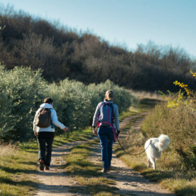 Cime e orizzonti: Passeggiata cinofila sulle terrazze della Valpantena